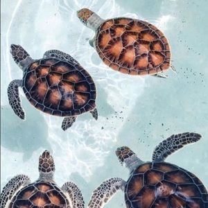 Meet your Posher, Janelle